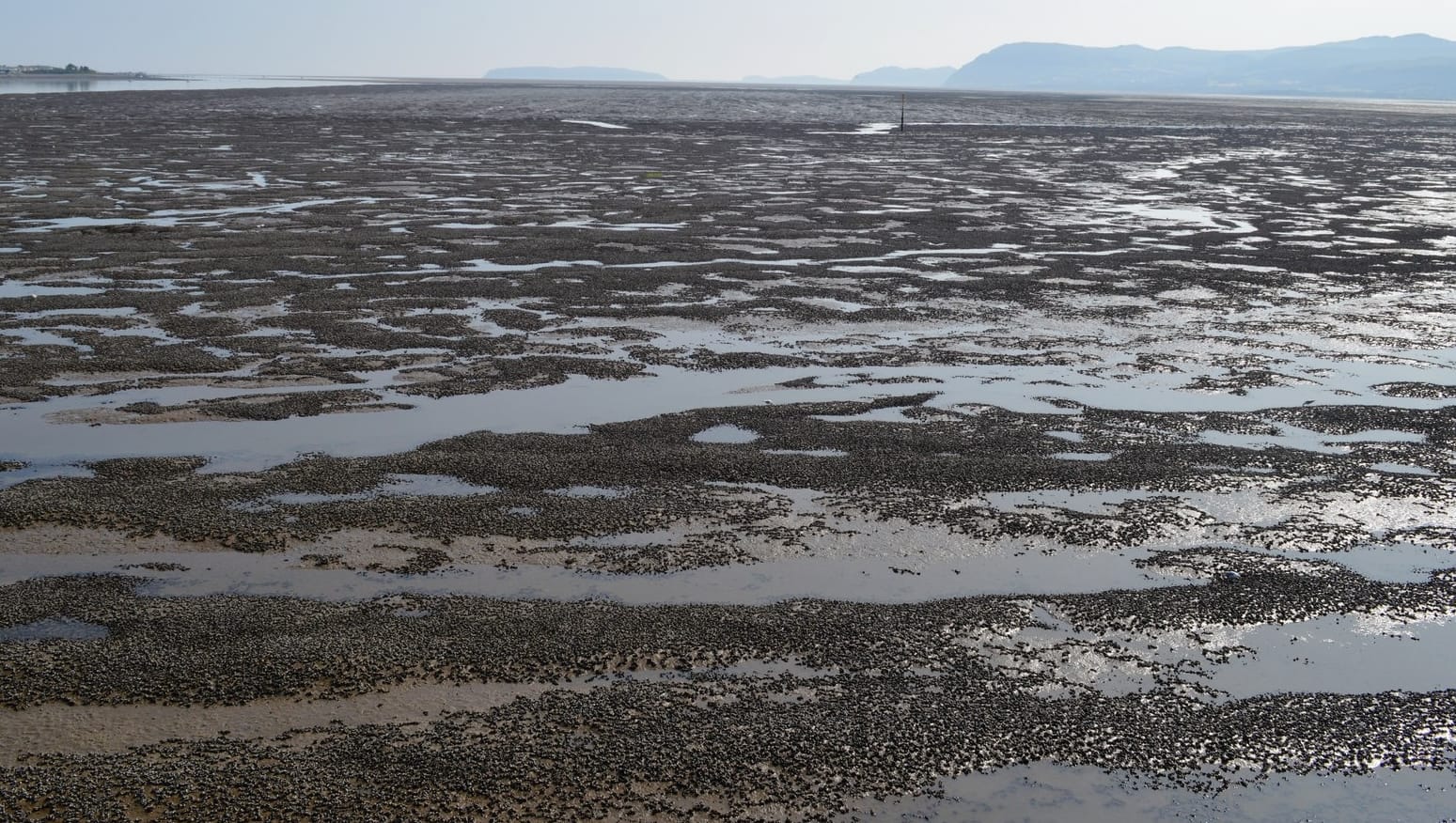 Aerial view of mussel beds with hills in the background.